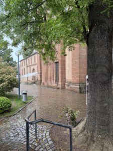 IMG_1693